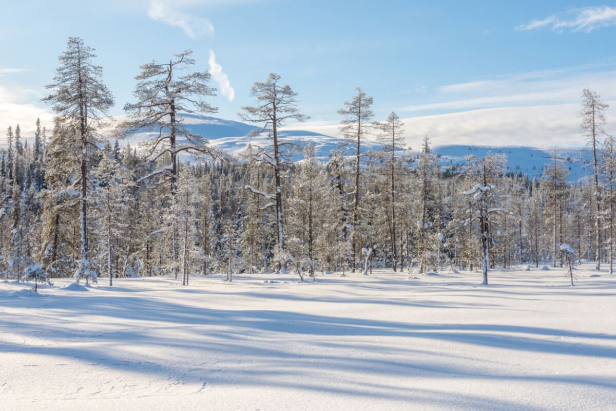 Voices Escape Room Game in Lancaster