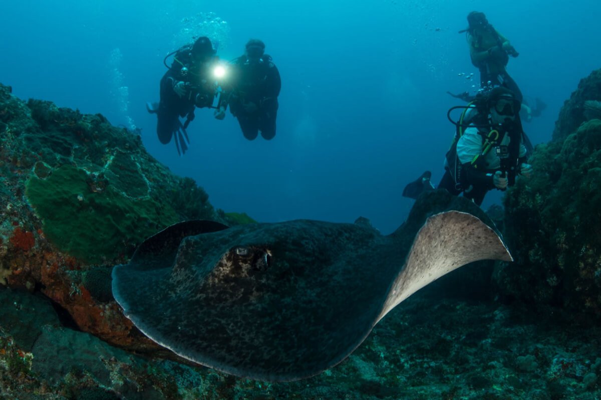 Paramount Ranch Guided Horseback Tour