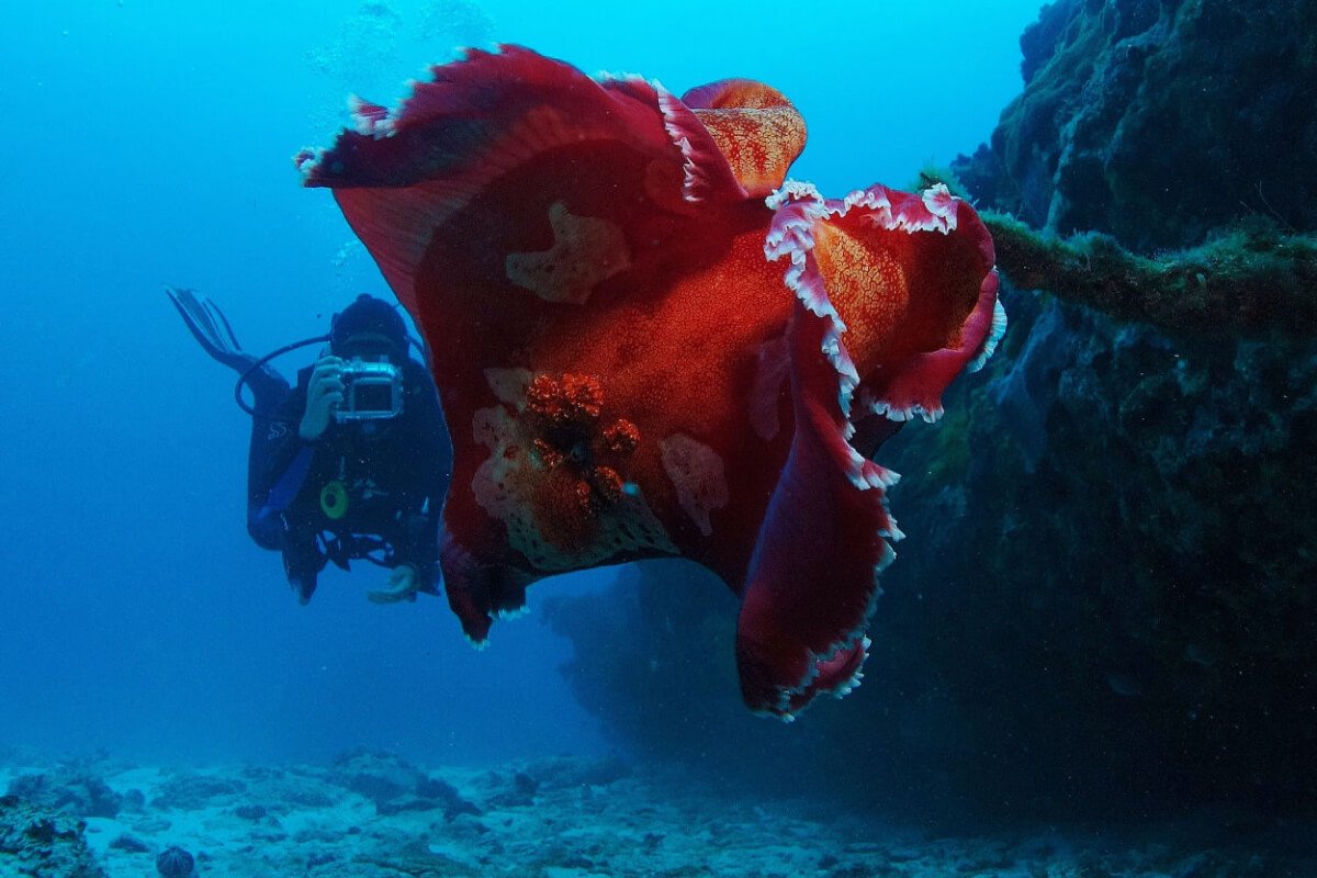Paramount Ranch Guided Horseback Tour