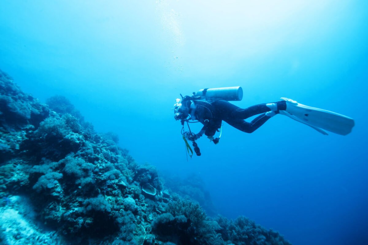 Golden Gate Seaplane Tour Miami Beach