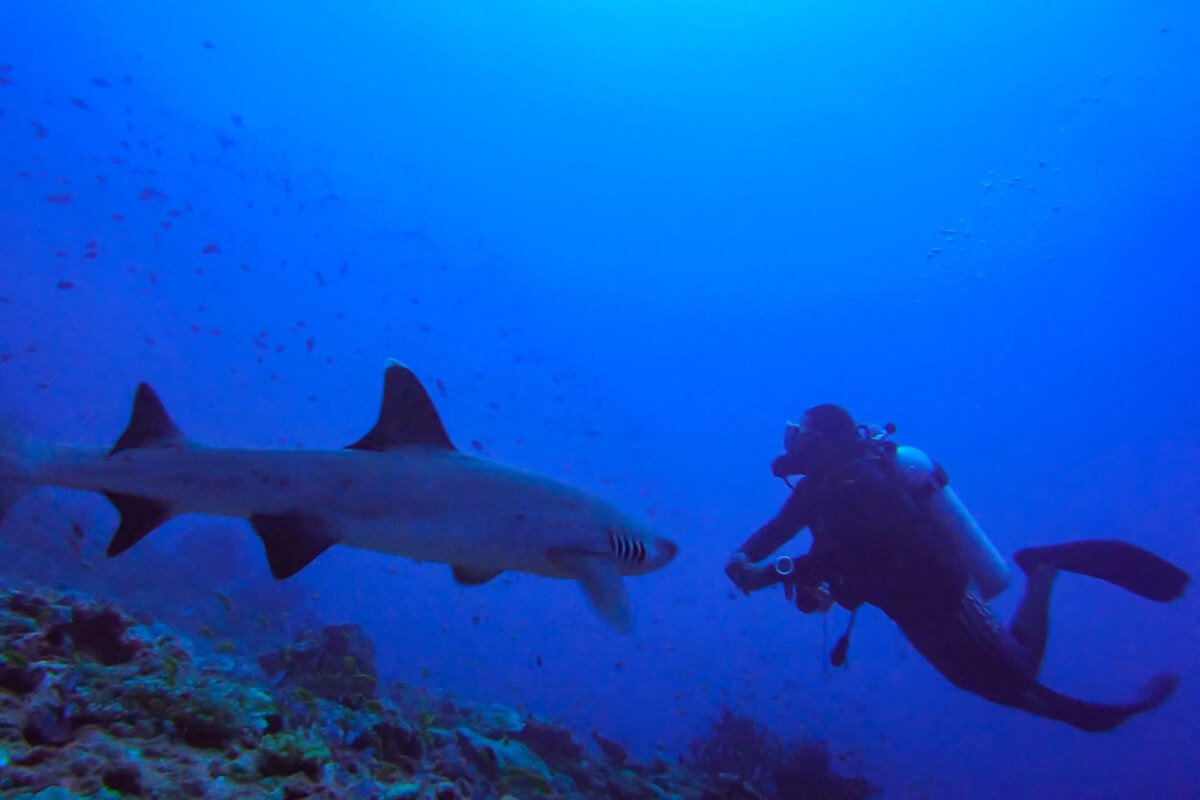 90-Minute Cruise & Open Bar in Miami