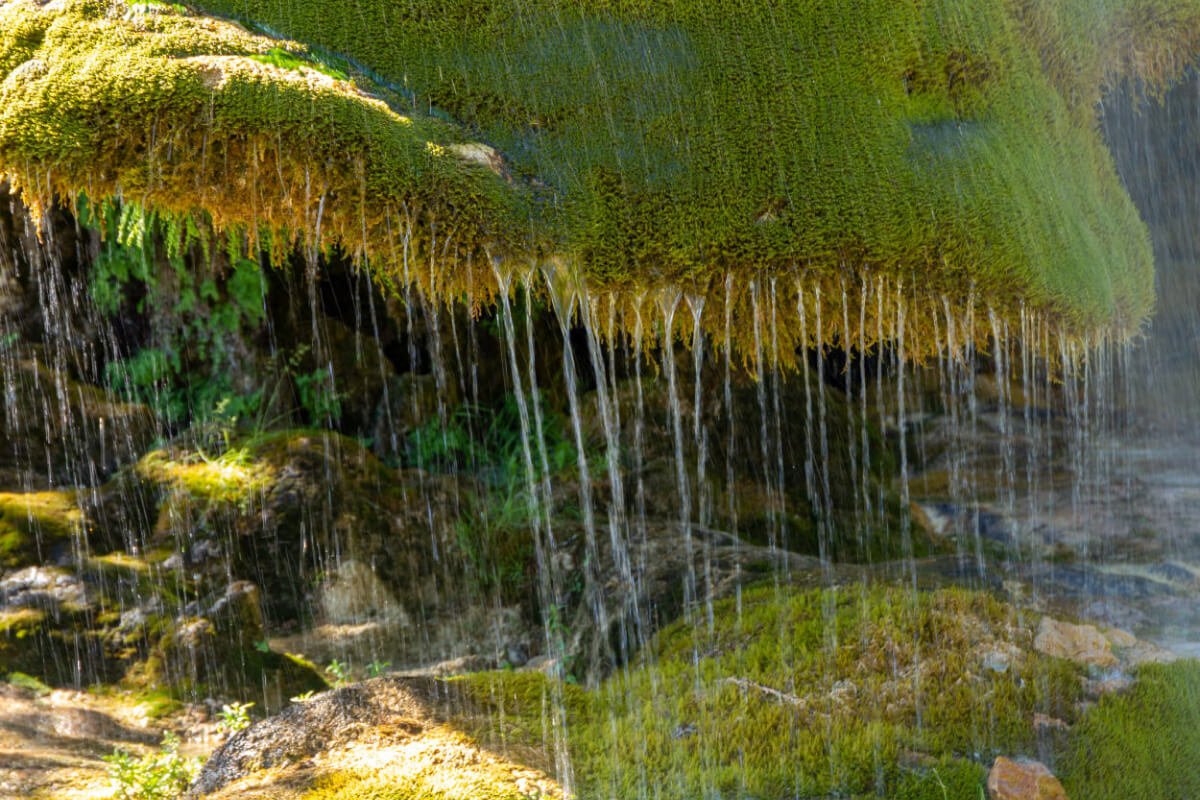 National Parks Tour One Days Huntington Beach