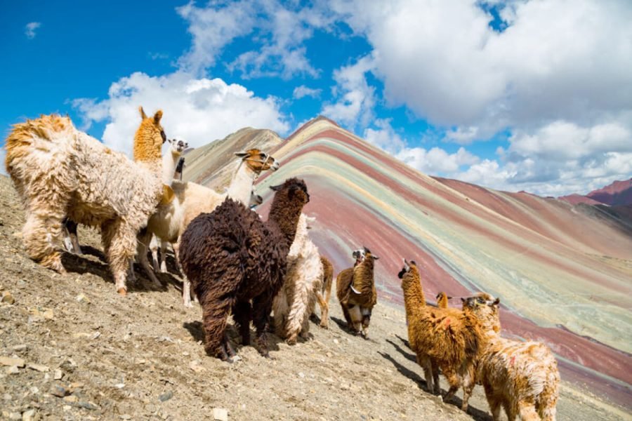 Downtown Los Angeles Food Tour