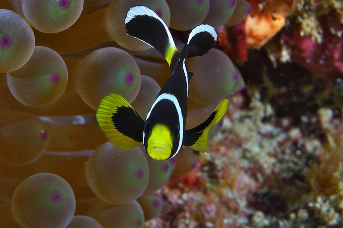 Paramount Ranch Guided Horseback Tour