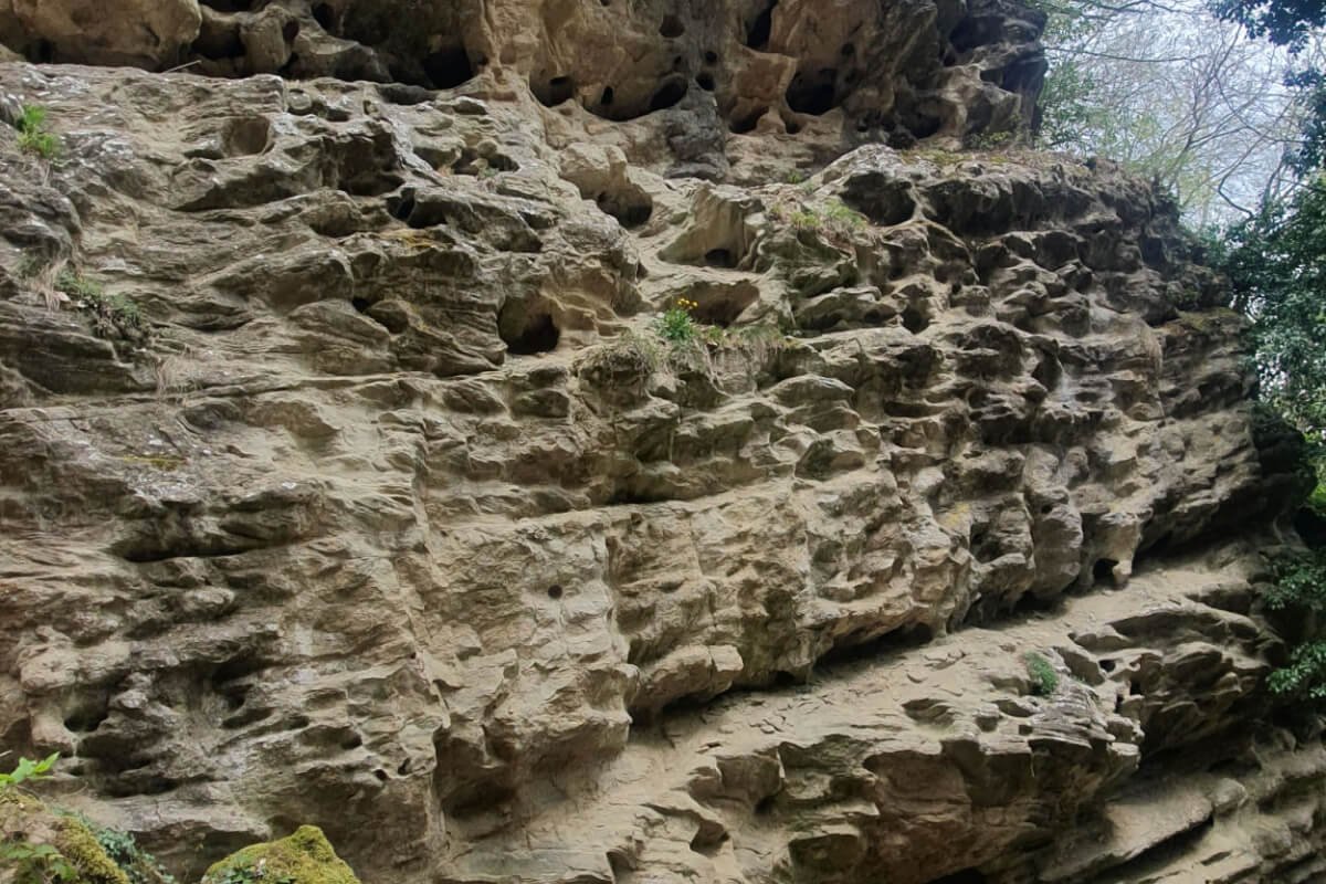 National Parks Tour One Days Huntington Beach