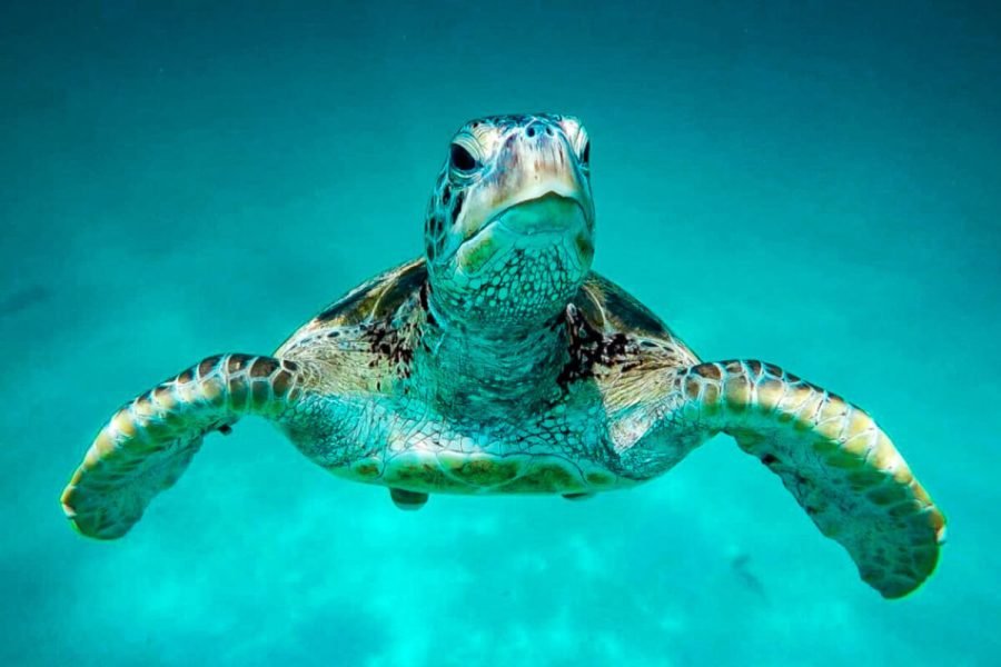 90-Minute Cruise & Open Bar in Miami