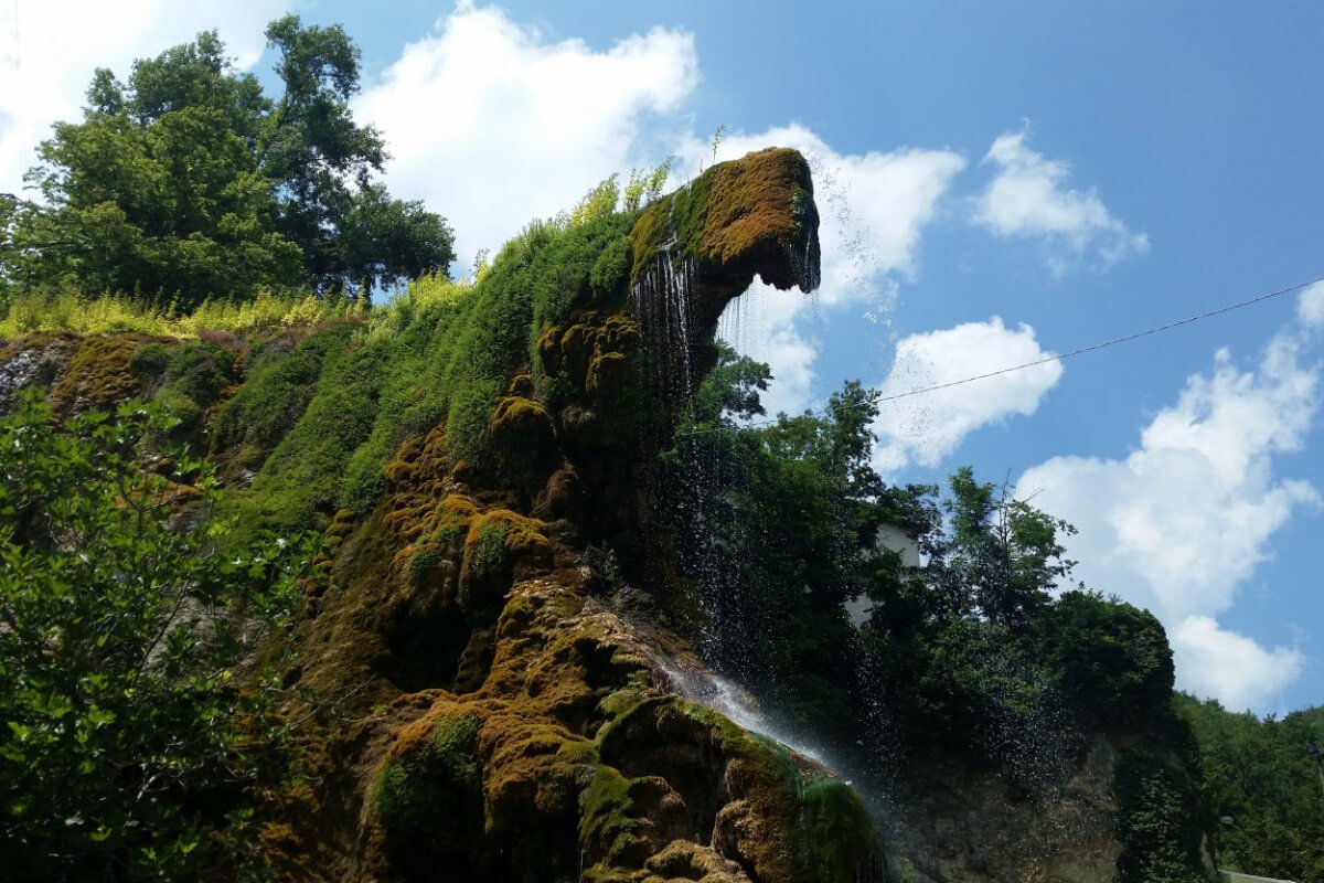 National Parks Tour One Days Huntington Beach