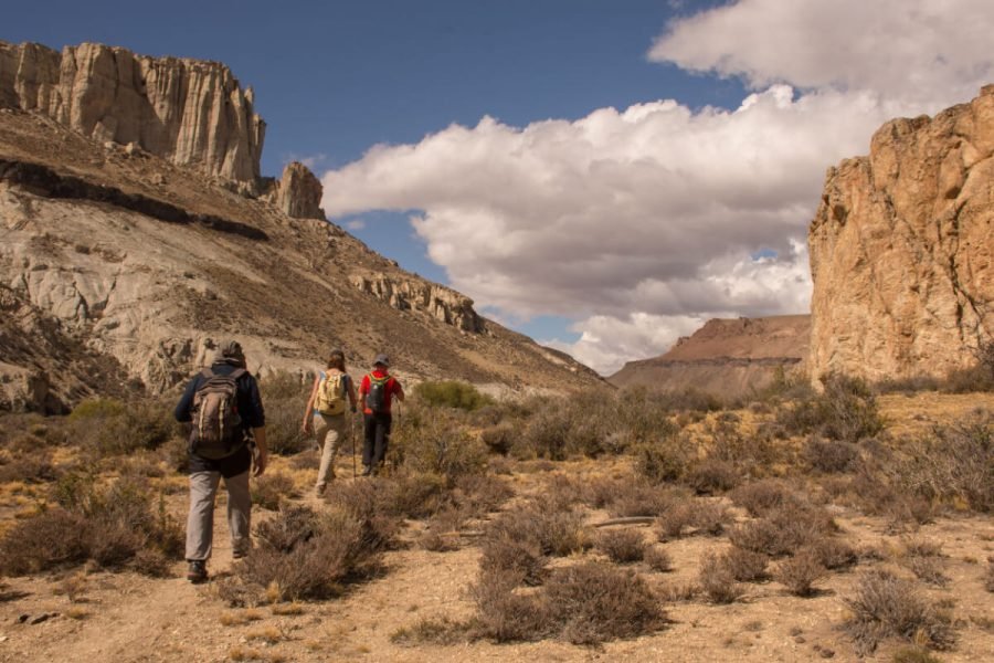 Scuba Diving Charter in Boyton Beach
