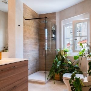 O Patrimônio no Centro da Cidade