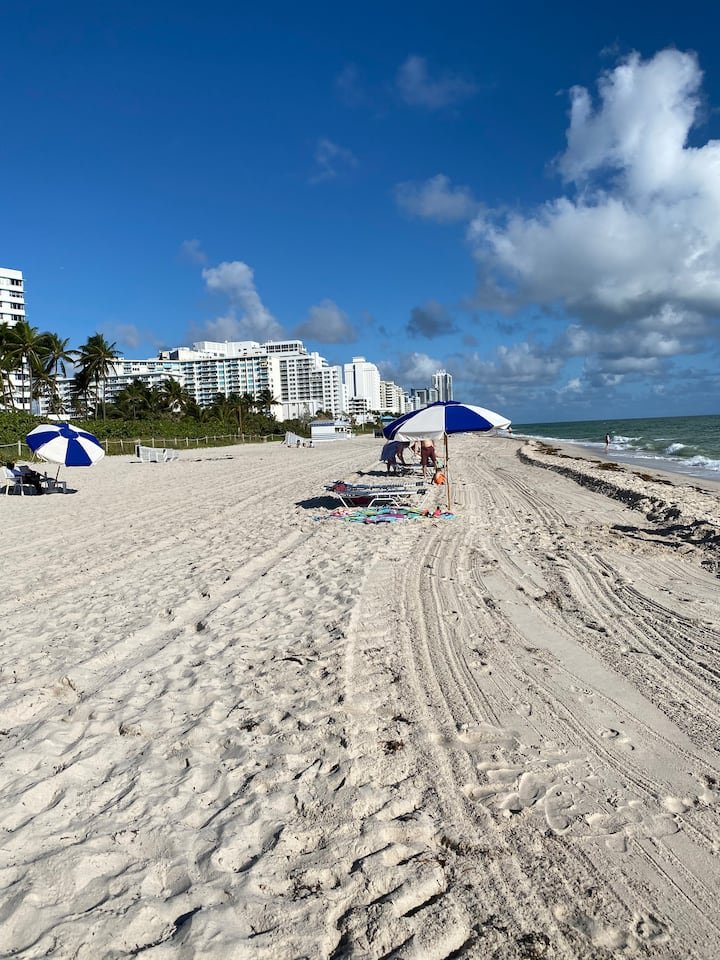 Estúdio bonito com vista para a baía! Estacionamento GRATUITO!