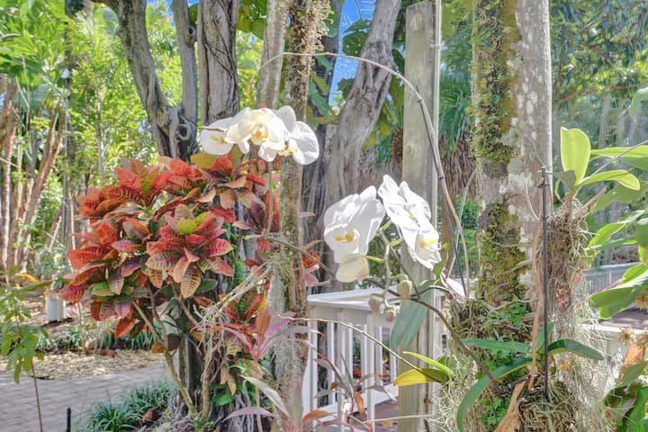 Oásis tropical: estúdio com piscina