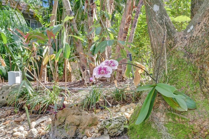 Oásis tropical: estúdio com piscina