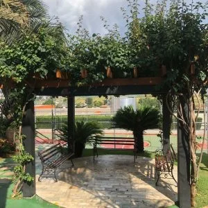 AP Fiorentine 3 min fazer compras