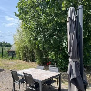 Relaxamento e spa no coração dos vinhedos!