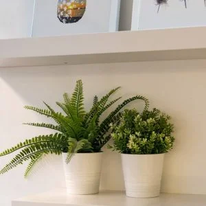 Apartamento confortável na zona da Praça do Pombal