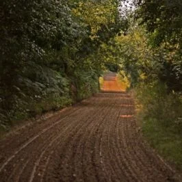 Primeira acomodação no meio da floresta