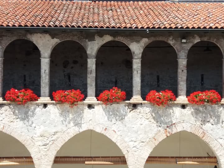 Villa Vitalba-1700 casa e vinícola a 1h de Milão