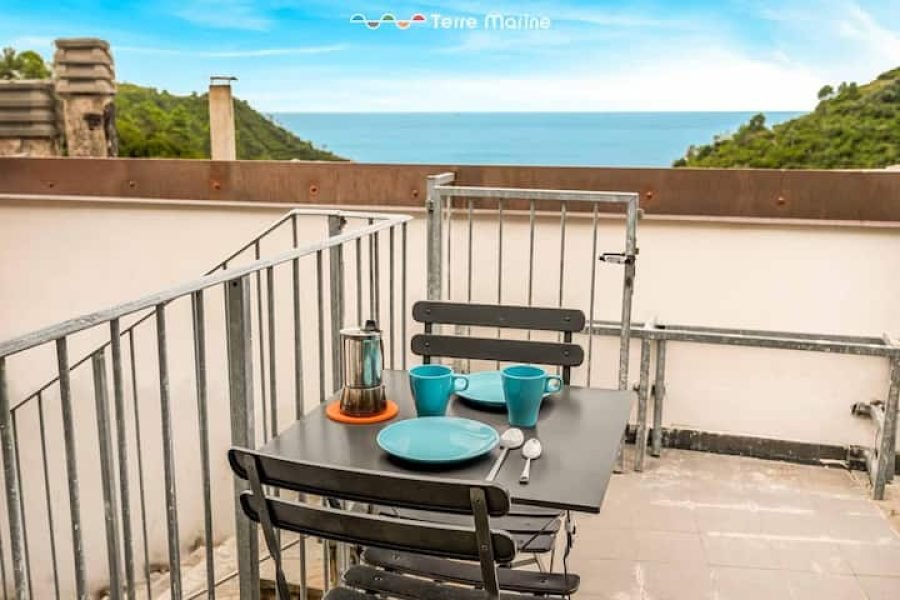 Vista para o campo, Terre Marine