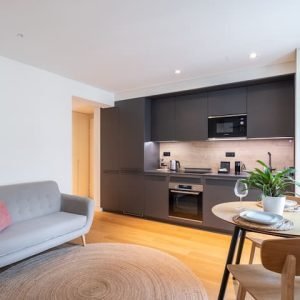 Apartamento NOVÍSSIMO em área típica com ar-condicionado – II.