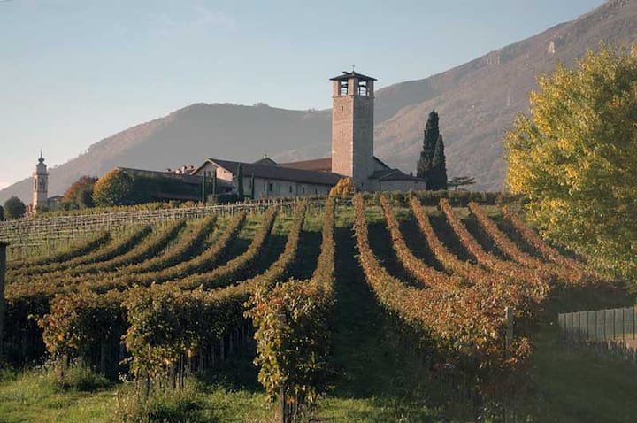 Villa Vitalba-1700 casa e vinícola a 1h de Milão