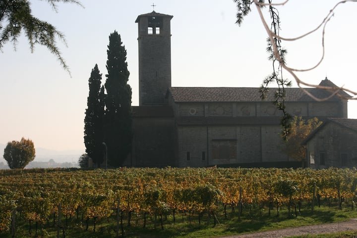 Villa Vitalba-1700 casa e vinícola a 1h de Milão