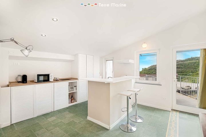 Vista para o campo, Terre Marine