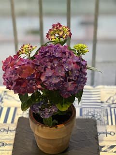 Fuencarral Quarto individual e banheiro privativo