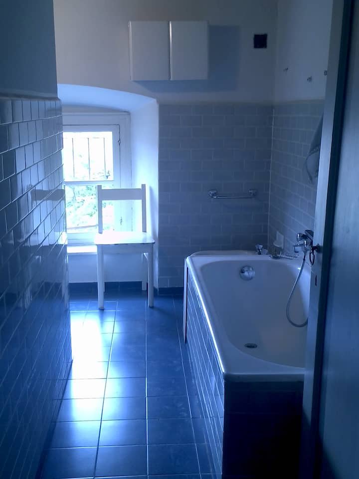 Villa Vitalba-1700 casa e vinícola a 1h de Milão