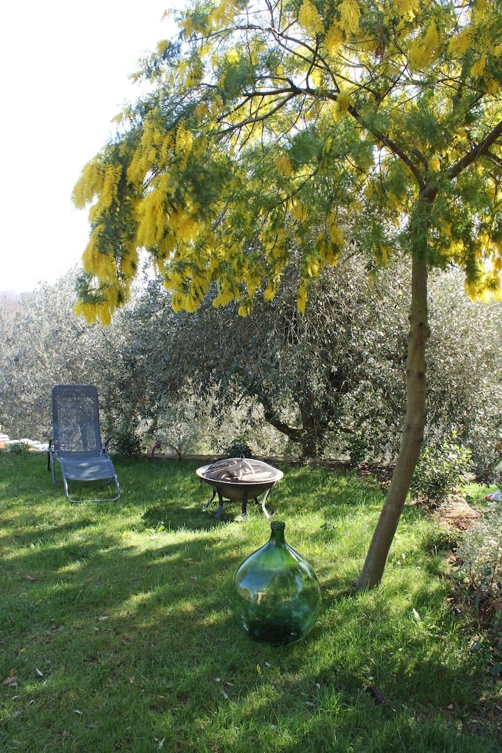 Casa de fazenda encantadora em Chianti