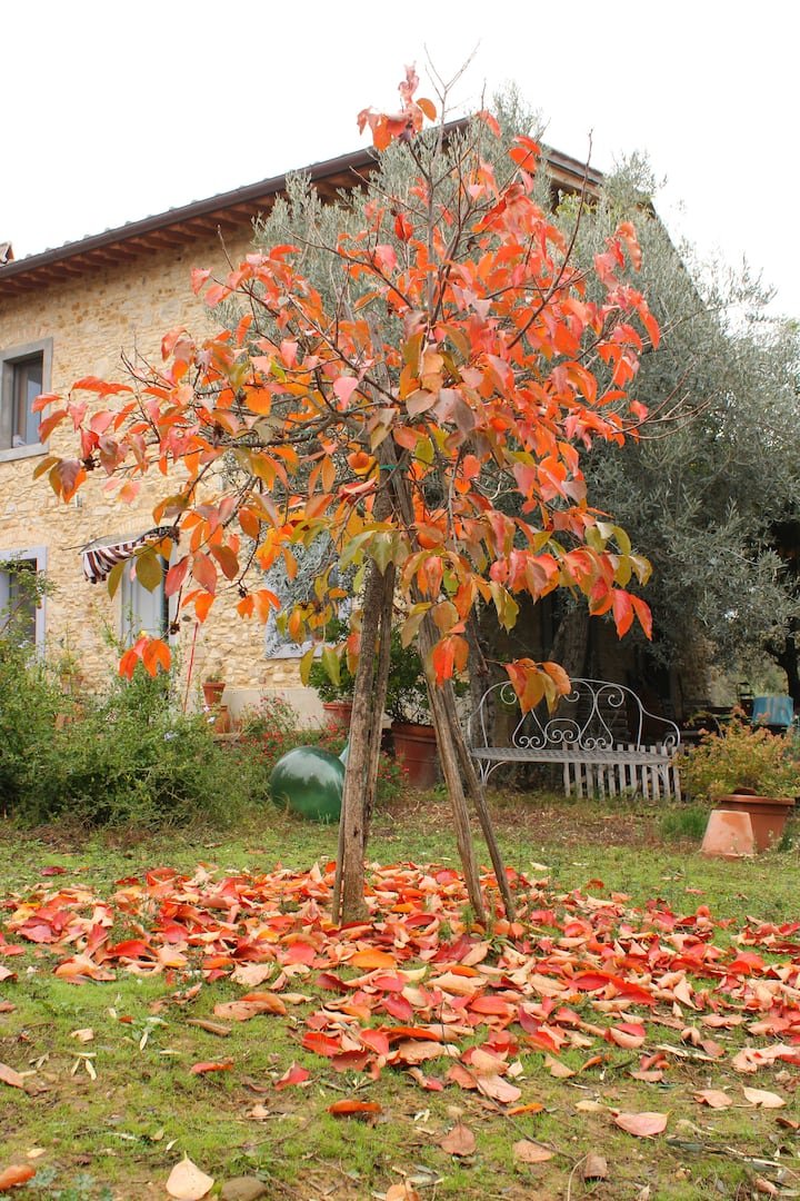 Casa de fazenda encantadora em Chianti