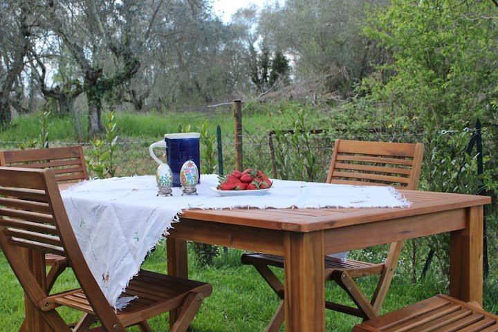 Casa de fazenda encantadora em Chianti