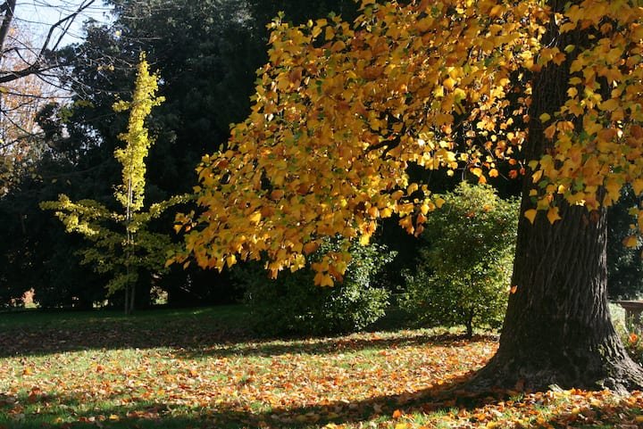 Villa Vitalba-1700 casa e vinícola a 1h de Milão