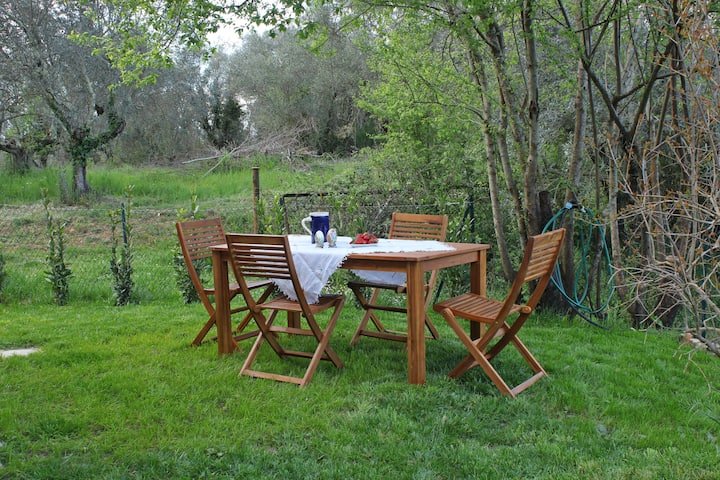 Casa de fazenda encantadora em Chianti