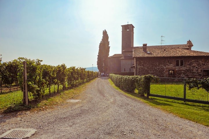 Villa Vitalba-1700 casa e vinícola a 1h de Milão