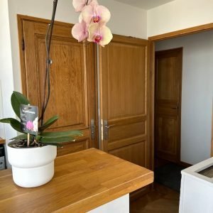 Vista fantástica da Torre Eiffel estúdio e varanda privada