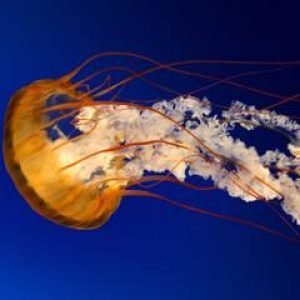 III Apartamento acolhedor em bairro histórico tranquilo