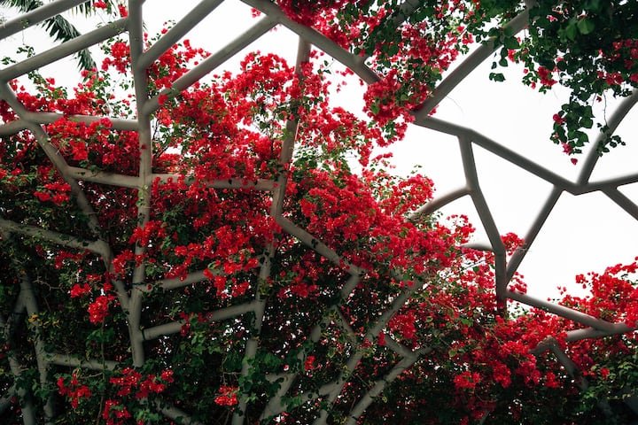 The Meridian Miami Beach by Kasa | Quarto Queen