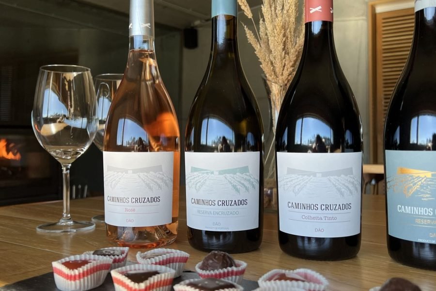 Visita Privada de Vinhos no Dão: 2 Quintas com provas e Almoço