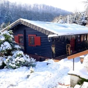 Woody Willingen – A cabana de madeira em meio a uma natureza maravilhosa