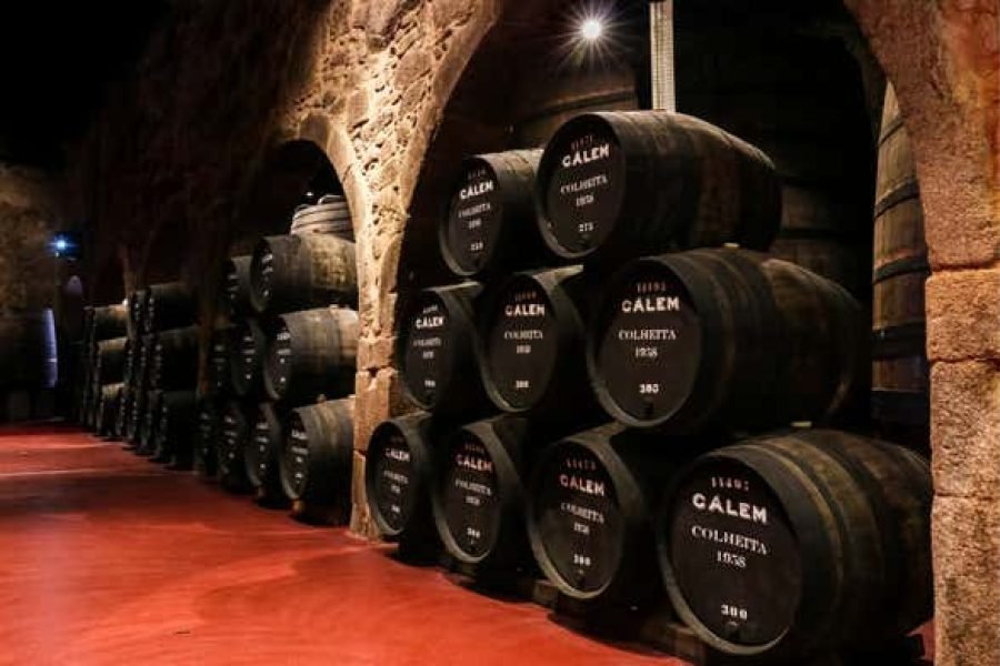 Visita guiada à vinícola Caves Cálem