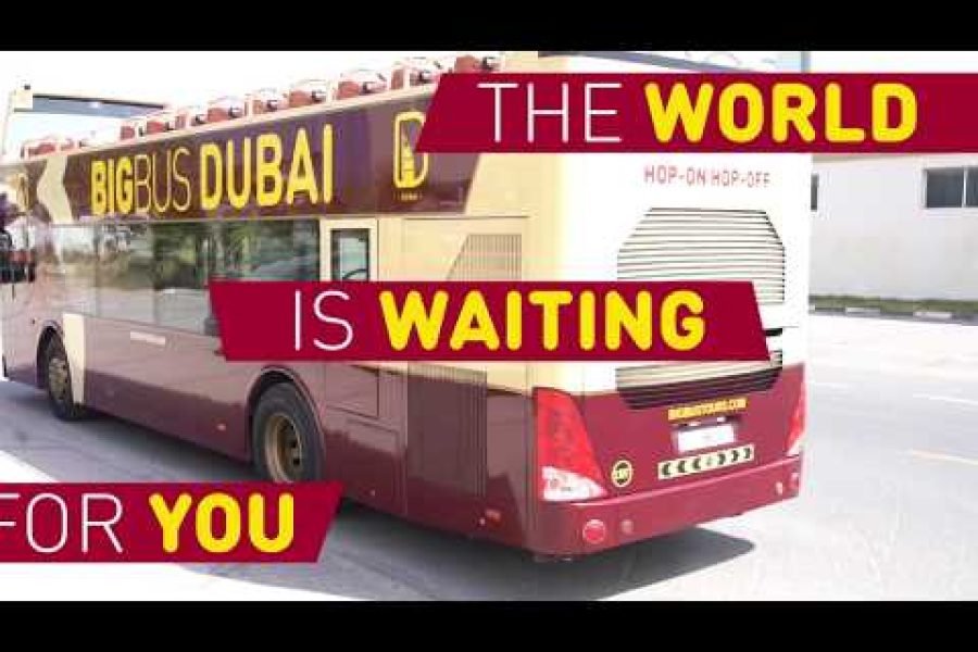 Ônibus turístico de Miami