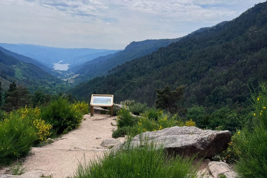 Visite o Gerês: Motorista e Transporte Exclusivo saindo do Porto