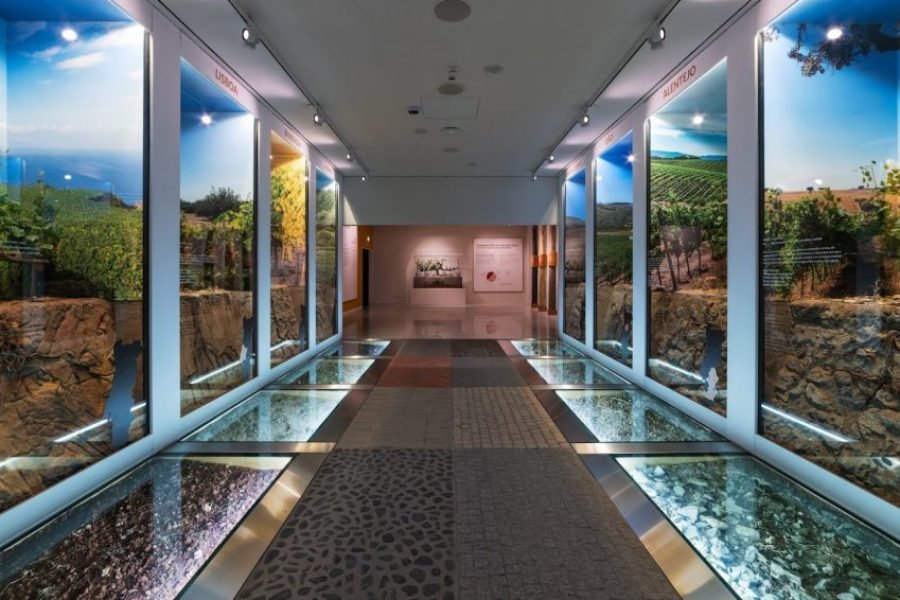 WOW Ingressos para 2 Museus: Wine Experience + Pink Palace