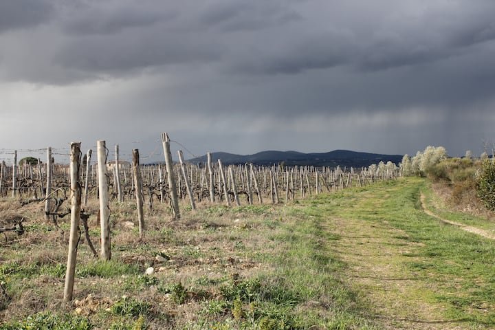 Casa de fazenda encantadora em Chianti