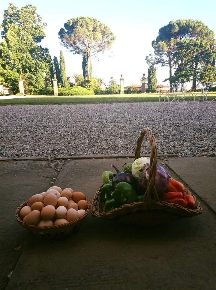 Villa Vitalba-1700 casa e vinícola a 1h de Milão