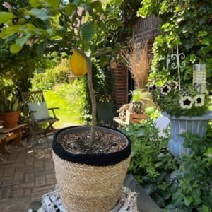 Espaço inteiro: apartamento em Berlim, Alemanha