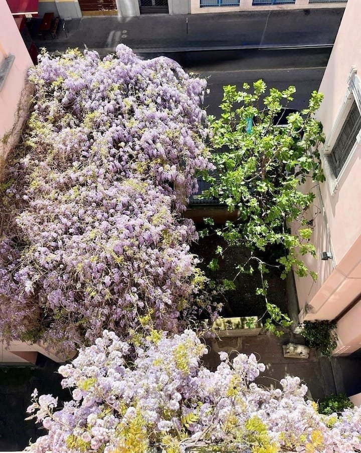 Blue Rain – Apartamento de design