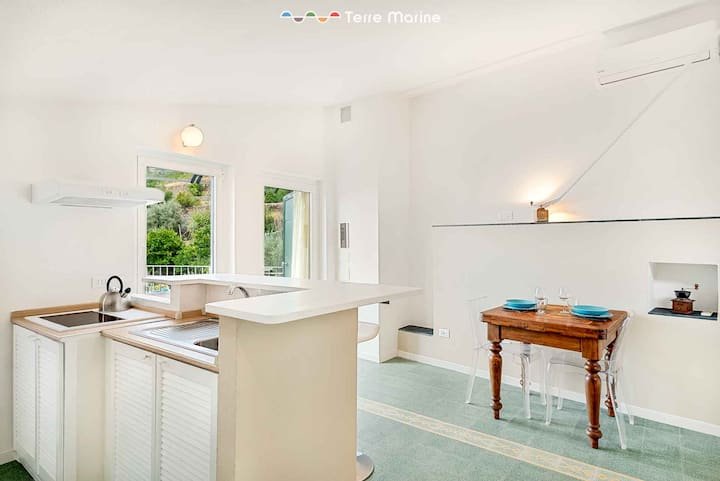 Vista para o campo, Terre Marine