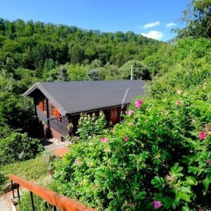 Woody Willingen – A cabana de madeira em meio a uma natureza maravilhosa