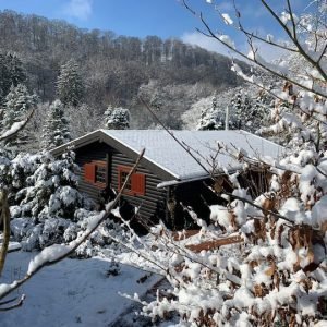Woody Willingen – A cabana de madeira em meio a uma natureza maravilhosa